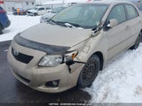 Toyota Corolla S/Le/Xle 2T1BU4EE2AC382418 снимка