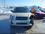 Hyundai Tucson KM8JM12B89U121812 снимка