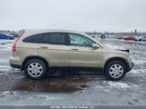 Honda Cr-V Exl 5J6RE48788L819988 photo