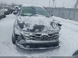 Hyundai Tucson Preferred Awd W/Trend Package 3KMJCCDE0SE026172 fotografie