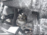 Polaris Indy SN1TKV6R3MC805874 снимка