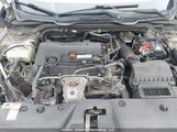 Honda Civic Lx 2HGFC2F52HH002518 снимка