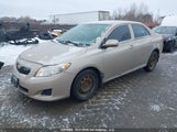 Toyota Corolla S/Le/Xle 2T1BU4EEXAC206152 снимка
