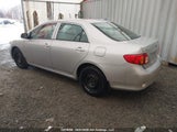 Toyota Corolla Ce 2T1BU4EE6AC428350 снимка