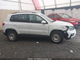 Volkswagen Tiguan Comfortline/Highline/Special Edition/Trendline WVGJV7AX2FW534242 fotografie