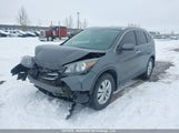 Honda Cr-V 2HKRM4H96DH106466 снимка