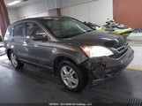 Honda Cr-V 5J6RE4H70AL803533 снимка