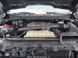 Ford F-150 Xlt 1FTFW1E83MKD50181 снимка