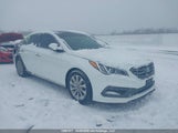 Hyundai Sonata Sport Tech 5NPE34AF6GH414159 снимка