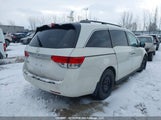 Honda Odyssey Ex-L 5FNRL5H65GB504396 photo