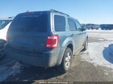 Ford Escape Xlt 1FMCU9DG5AKB17054 снимка