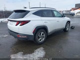 Hyundai Tucson KM8JB3AEXPU240875 снимка