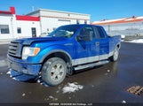 Ford F-150 Fx4/Lariat/Svt Raptor/Xl/Xlt 1FTFX1EV6AFC00069 снимка