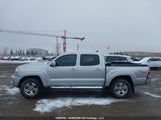 Toyota Tacoma Base V6 5TELU42N68Z483491 photo