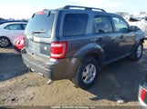 Ford Escape Xlt 1FMCU9DG5BKC00081 fotografie