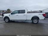Ford F150 Xlt 1FTFW3L84RKD29877 fotografie