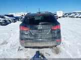 Hyundai Santa Fe Sport 2.0T Se 5XYZUDLA9EG196013 photo