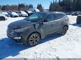 Hyundai Santa Fe Sport 2.0T Se 5XYZUDLA9EG196013 photo