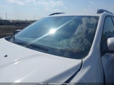 Jeep Cherokee 1C4PJMCX2LD559414 снимка