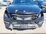 Mercedes-Benz Ml 350 Bluetec 4JGDA2EB0FA612783 снимка
