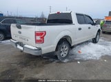 Ford F-150 1FTEW1EB7JKF65081 снимка