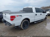 Ford F-150 Xlt 1FTFW1EF0EKG37736 снимка