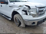 Ford F-150 Xlt 1FTFW1EF0EKG37736 снимка