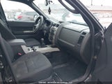 Ford Escape Xlt 1FMCU0D74AKB72316 снимка