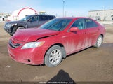 Toyota Camry Hybrid 4T1BB46K08U032384 photo
