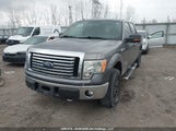 Ford F-150 Xlt 1FTFW1ET9CFA62483 снимка