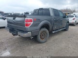 Ford F-150 Xlt 1FTFW1ET9CFA62483 снимка