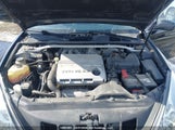 Lexus Es 330 JTHBA30G065146512 fotografie