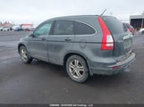 Honda Cr-V Ex 5J6RE4H53BL811304 снимка