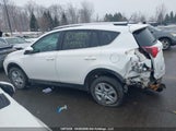 Toyota Rav4 Le 2T3ZFREVXEW074365 снимка