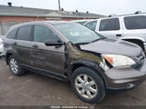 Honda Cr-V Lx 5J6RE4H33BL810930 снимка