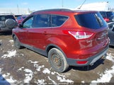 Ford Escape Se 1FMCU0GXXEUD33662 снимка