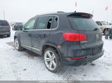 Volkswagen Tiguan Comfortline/Highline/Special Edition/Trendline WVGJV7AX9FW559333 fotografie