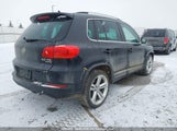 Volkswagen Tiguan Comfortline/Highline/Special Edition/Trendline WVGJV7AX9FW559333 fotografie