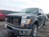 Ford F-150 Xlt 1FTFW1EF4CKD81033 снимка