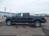 Ford F-150 Xlt 1FTFW1EF4CKD81033 снимка