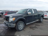 Ford F-150 Xlt 1FTFW1EF4CKD81033 снимка