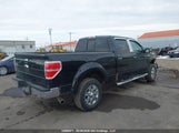 Ford F-150 Xlt 1FTFW1EF4CKD81033 снимка