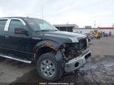 Ford F-150 Xlt 1FTFW1EF4CKD81033 снимка