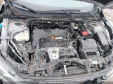 Honda Civic Lx 2HGFC2F54HH020583 снимка