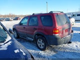 Ford Escape Xlt 1FMYU93136KA09848 снимка