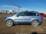 Honda Cr-V Exl 5J6RE4H79AL806768 снимка