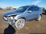 Honda Cr-V Exl 5J6RE4H79AL806768 снимка