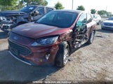 Ford Escape Hybrid 1FMCU9BZ7MUA44377 photo