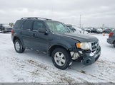 Ford Escape Xlt 1FMCU93G79KB14430 снимка
