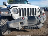 Jeep Wrangler 4-Door Rubicon 1C4JJXFG0PW632146 fotografie